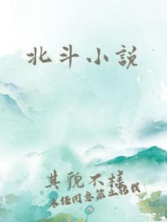 北斗小说