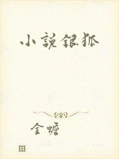小说银狐