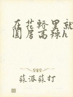 在花轿里就开始圆房高辣h