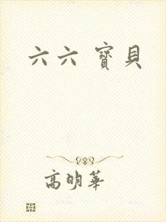 六六 宝贝