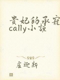 贵妃的承宠日常cally小说