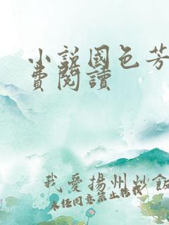 小说国色芳华免费阅读