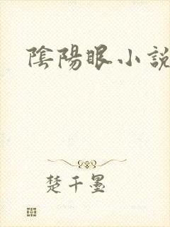 阴阳眼小说