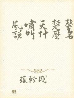 风啸天楚馨月小说叫什么名字