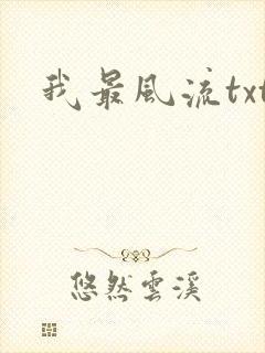 我最风流txt