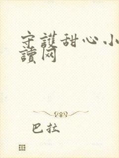 守护甜心小说阅读网