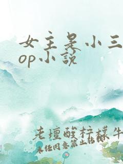 女主是小三的pop小说