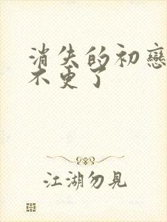 消失的初恋为啥不更了