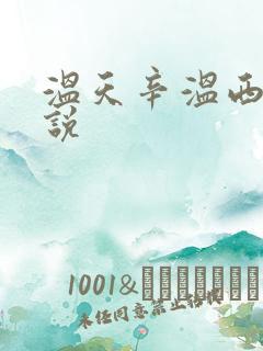 温天辛温西离小说
