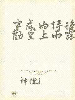 穿成内侍后总在劝皇上雨露均沾