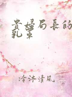 贵妇局长的蕾丝乳罩