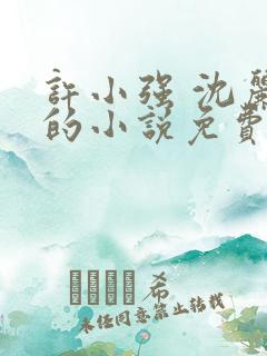 许小强 沈丽娟的小说免费阅读