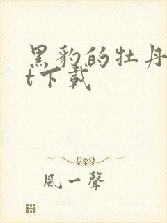 黑豹的牡丹txt下载