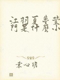 江羽夏梦莹神谕门是什么小说