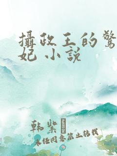 摄政王的惊世嫡妃 小说