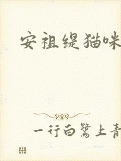 安祖缇猫咪抱抱