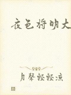 夜色将明大结局