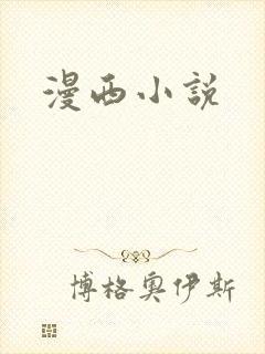 漫西小说