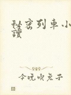 秘密列车小说阅读