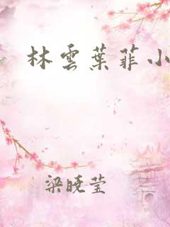 林云叶菲小说
