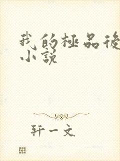 我的极品后宫 小说