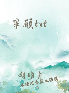 宁愿txt