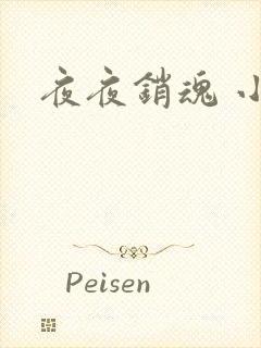 夜夜销魂 小说