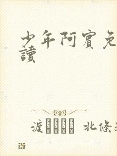 少年阿宾免费阅读