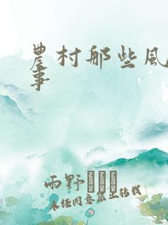 农村那些风流韵事