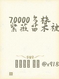 70000多株紫薇苗木被强毁