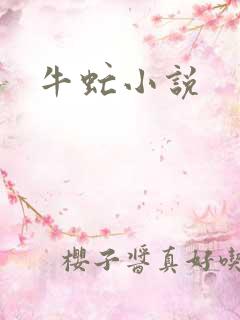 牛虻小说