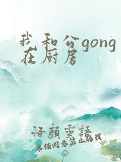 我和公gong在厨房