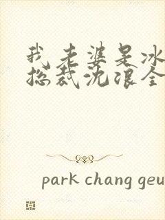 我老婆是冰山女总裁沈浪全集