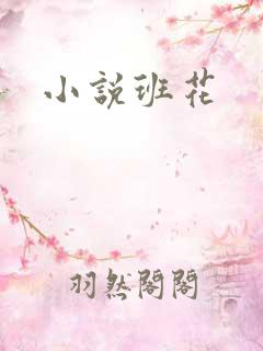 小说班花