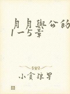 月月与公的激情1一5章