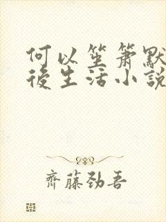 何以笙箫默之婚后生活小说