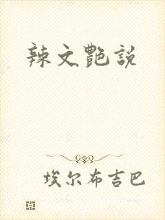 辣文艳说