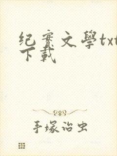 纪实文学txt下载