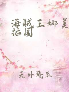 海贼王娜美被轮插图