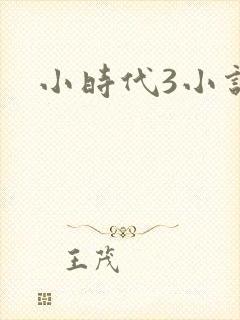 小时代3小说