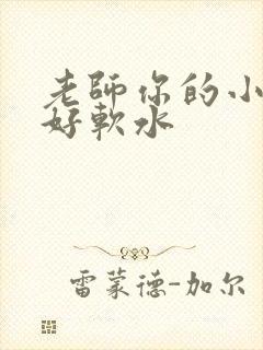老师你的小兔子好软水