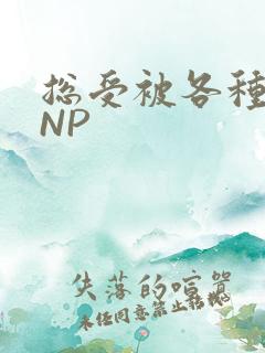 总受被各种姿势NP