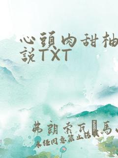 心头肉甜柚子小说TXT