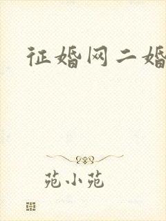 征婚网二婚