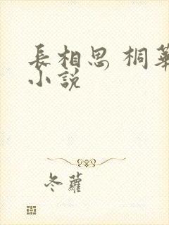 长相思 桐华 小说
