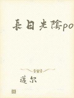 长日光阴po