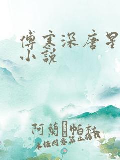 傅寒深唐星挽的小说