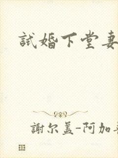 试婚下堂妻