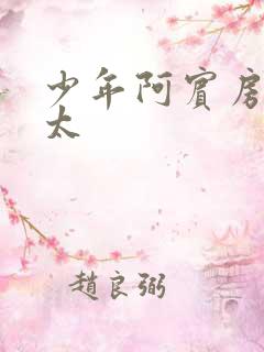 少年阿宾房东太太
