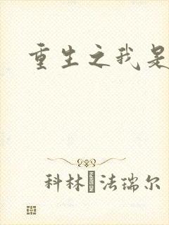 重生之我是杨过